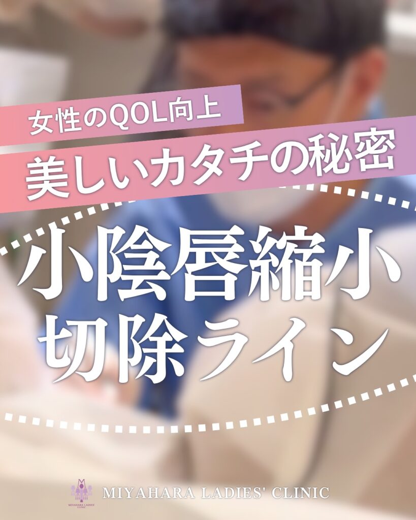 婦人科形成の症例写真の見方は？副皮切除・小陰唇縮小・膣縮小のポイントを解説｜熊本市 みやはらレディースクリニック 美容診療専用サイト