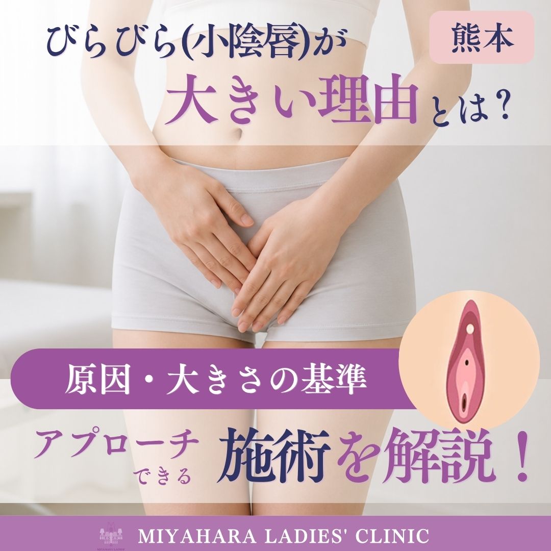 びらびらが大きい理由とは？原因と大きさの基準、アプローチする施術を解説のアイキャッチ画像