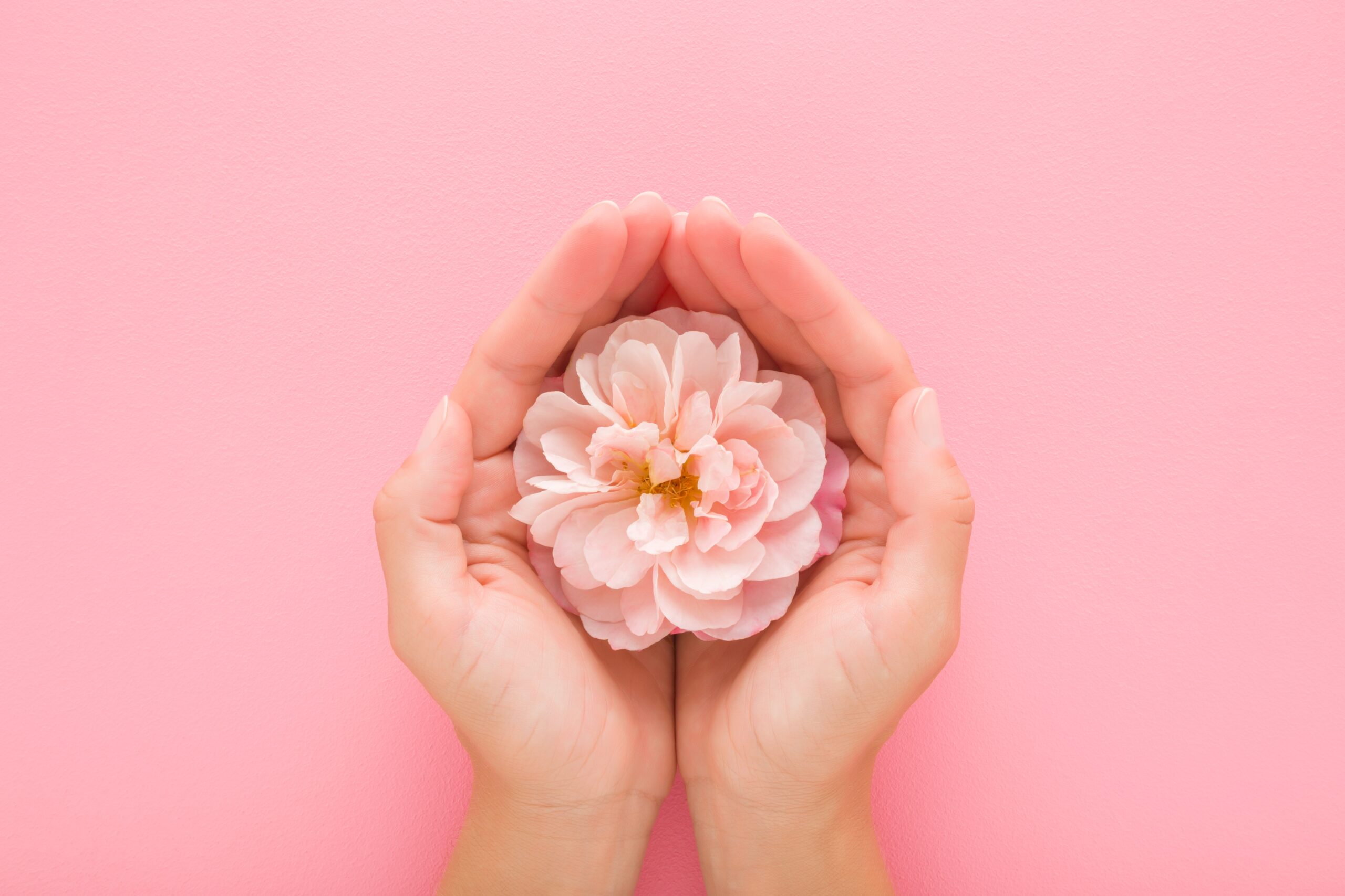 びらびら（小陰唇）が大きい理由とは？原因・大きさの基準・アプローチできる施術を解説｜熊本市 みやはらレディースクリニック 美容診療専用サイト